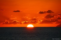 /album/fenykepgaleria/img-8717-jpg/