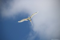 /album/fenykepgaleria/img-7099-jpg/