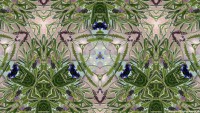 /album/artsofalley/a1d-jpg1/