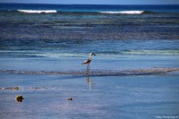 /album/fenykepgaleria/img-8361-jpg/