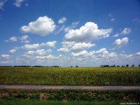 /album/fenykepgaleria/p1120219-2-jpg/
