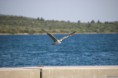 /album/vmg-yachting-spring-tour-2015/img-5890-jpg/