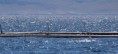 /album/vmg-yachting-spring-tour-2015/img-7970-jpg/