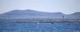 /album/vmg-yachting-spring-tour-2015/img-7965-jpg/