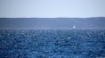 /album/vmg-yachting-spring-tour-2015/img-7927-jpg/